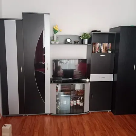 Apartment Dragana Pirot